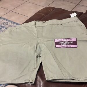 Gloria Vanderbilt Avery Pull On Bermuda Shorts in Sage Green size 22W. NWT